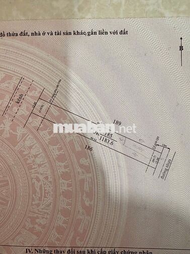 CHÍNH CHỦ BÁN 2 LÔ ĐẤT SẴN SỔ MẶT TIỀN 12M TRUNG TÂM LONG CHỮ-BẾN CẦU