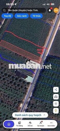 CHÍNH CHỦ BÁN 2 LÔ ĐẤT SẴN SỔ MẶT TIỀN 12M TRUNG TÂM LONG CHỮ-BẾN CẦU