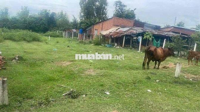 Cần Bán Lô Đất Đẹp Siêu Phẩm Hàng Ngộp Nhà Dân Ô Tô San Sát