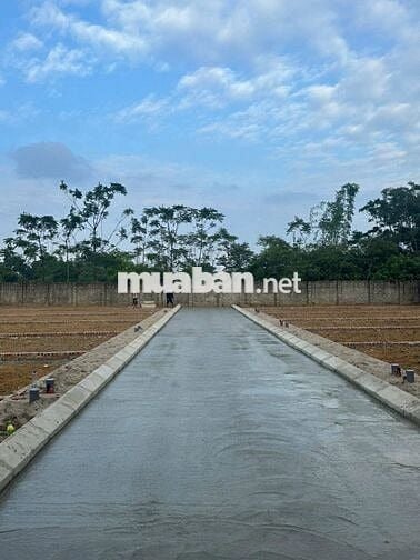 CHÍNH CHỦ BÁN ĐẤT THỔ CƯ SẴN SỔ GIÁ *** SƠN TÂY