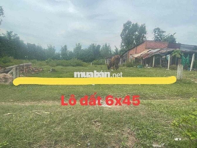 Cần Bán Lô Đất Đẹp Siêu Phẩm Hàng Ngộp Nhà Dân Ô Tô San Sát