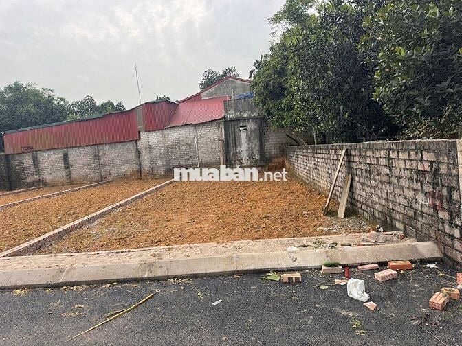 CHÍNH CHỦ BÁN ĐẤT THỔ CƯ SẴN SỔ GIÁ *** SƠN TÂY