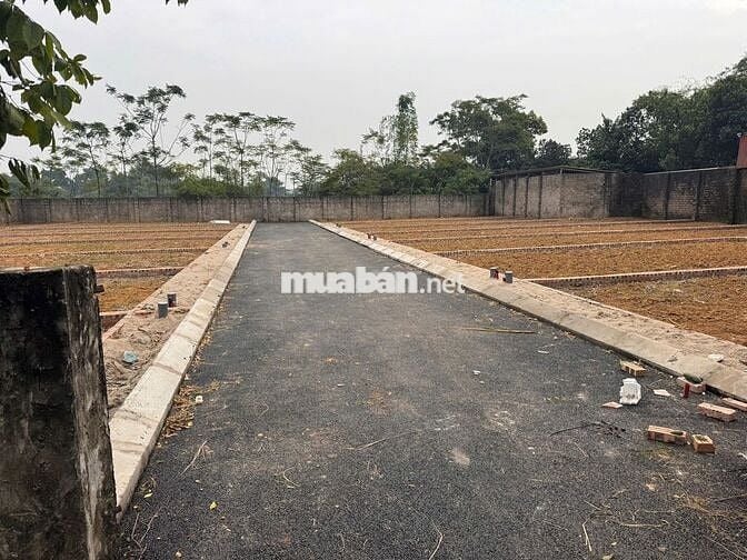 CHÍNH CHỦ BÁN ĐẤT THỔ CƯ SẴN SỔ GIÁ *** SƠN TÂY