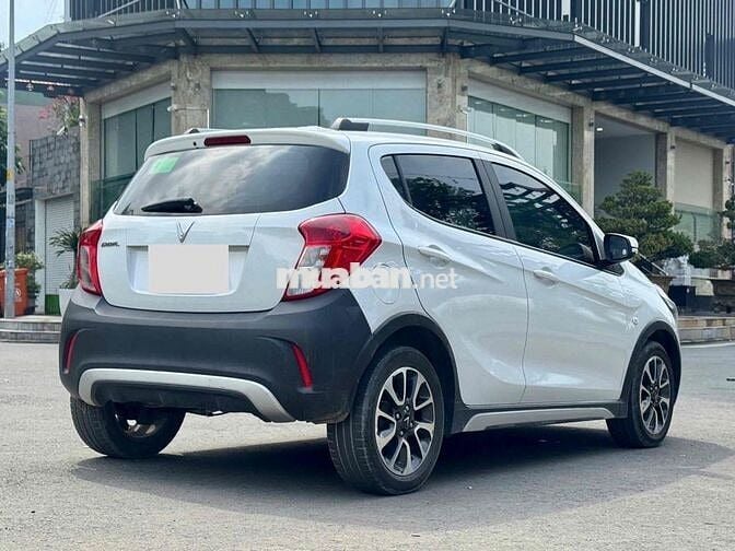 Fadil Plus 21 - Giá 3x nhô