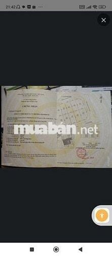 Bán đất Biệt Thự đường Thanh Xuân