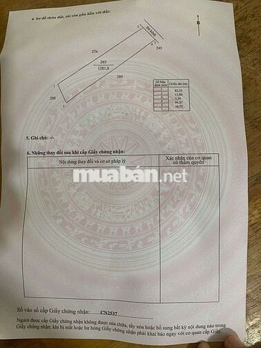 Đất vườn dừa full nền xã Mỹ Thạnh, Ba Tri