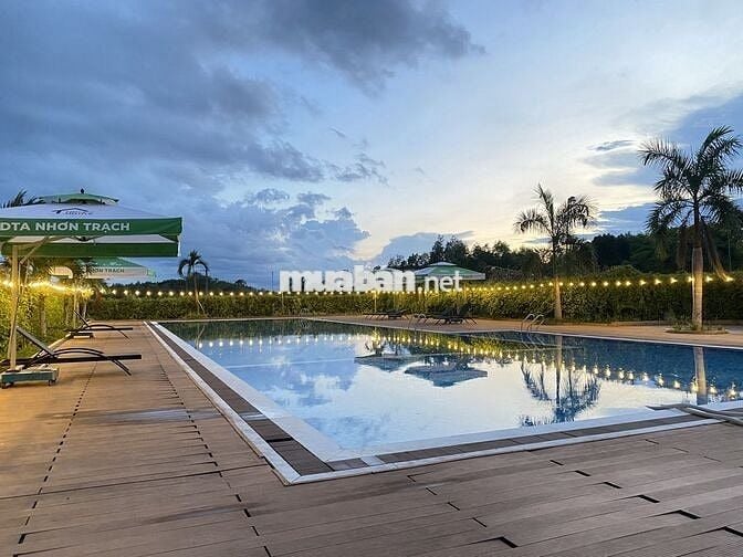 Căn hộ chung cư 35m² - 2PN Dự án Khu đô thị DTA Nhơn Trạch.