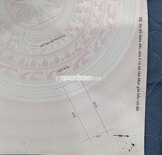 Đất biển Mỹ Khê (159m2- Ngang 7) đường Nguyễn Khắc Viện, Sơn Thủy