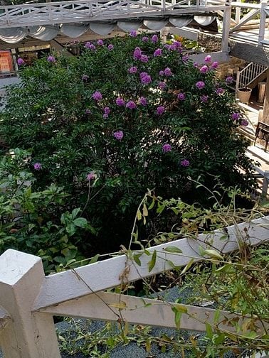 CSKH - Tư vấn trực tiếp tại Bình Thạnh Full/Part 