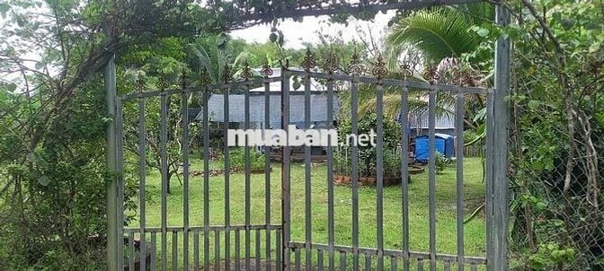 Đất nông nghiệp+2530m2+ ấp 18 Gia Đình, Xã Bảo Quang. TP.Long Khánh