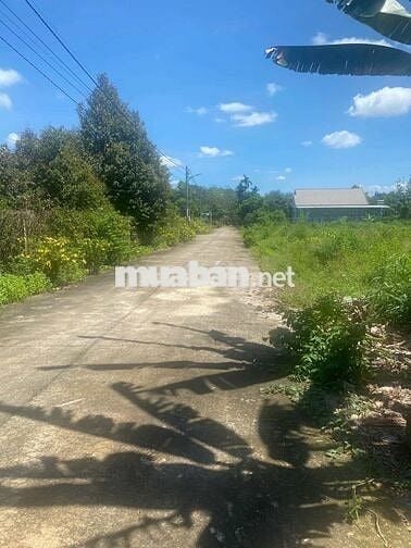 Thanh Lý ngay lô đất sẵn thổ cư chỉ với giá 1tr/m2