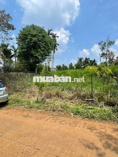 Bán đất thổ cư chính chủ xã Hòa Thắng, Buôn Ma Thuột, Đắk Lắk