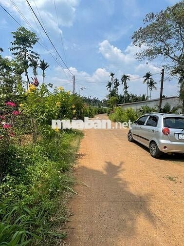 Bán đất thổ cư chính chủ xã Hòa Thắng, Buôn Ma Thuột, Đắk Lắk