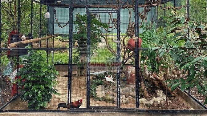 LƯỚI INOX 304 CHO XÂY DỰNG & TRANG TRÍ NHÀ CỬA