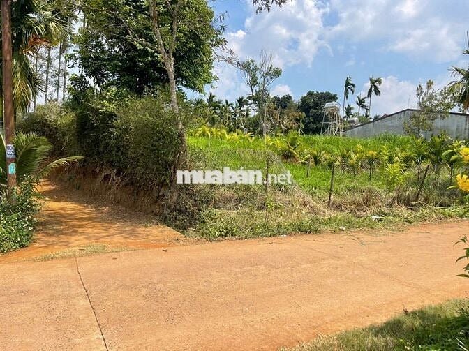 Bán đất thổ cư chính chủ xã Hòa Thắng, Buôn Ma Thuột, Đắk Lắk