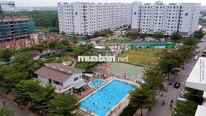 MẶT BẰNG ĐẸP, Cho thuê căn shophouse kinh doanh, ở, 10 triệutháng