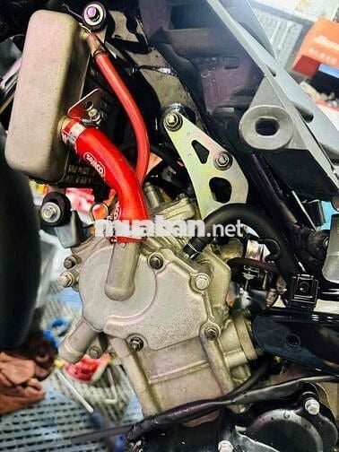 ex 1s9a bstp 9 chủ