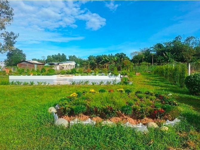 Mua đất có sẵn biệt thự sân vườn vừa xây dựng mới