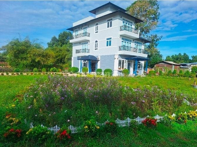 Mua đất có sẵn biệt thự sân vườn vừa xây dựng mới