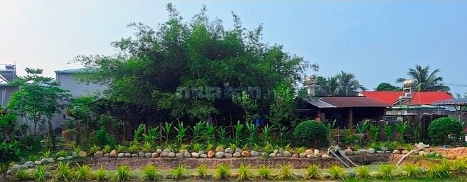 Mua đất có sẵn biệt thự sân vườn vừa xây dựng mới