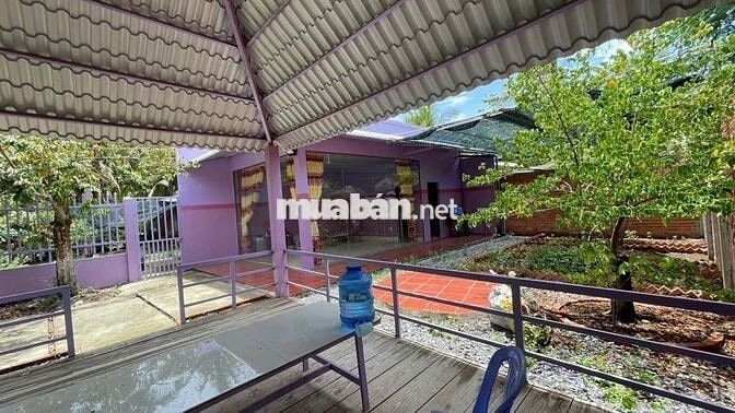 Nhà vườn 300m2 sẵn 100m thổ cư giá rẻ chỉ 670 triệu tại Tiền Giang
