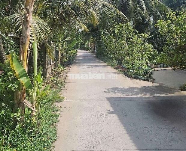 Chính chủ cần bán đất Thanh Tân, Mỏ Cày Bắc, Bến Tre