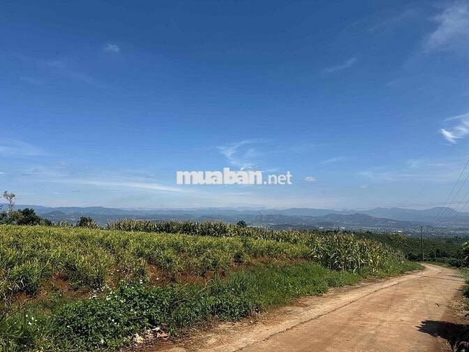 Em bán lô đất tại View dốc 800 - Đinh Văn, Lâm Đồng
