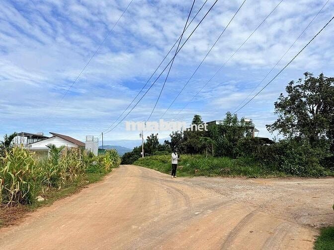 Em bán lô đất tại View dốc 800 - Đinh Văn, Lâm Đồng