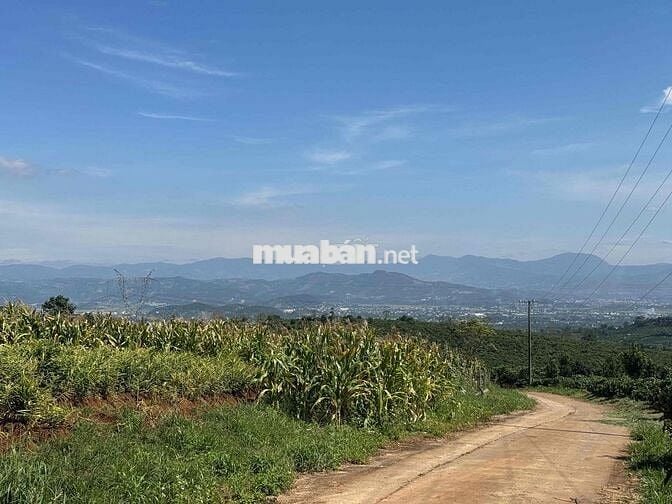 Em bán lô đất tại View dốc 800 - Đinh Văn, Lâm Đồng