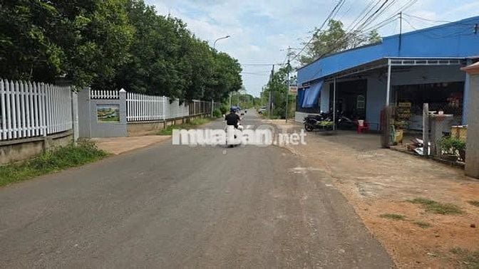 Bán đất vườn sẵn thổ cư 258m2, trong đó có hơn 100m2 thổ cư tại Cẩm Mỹ