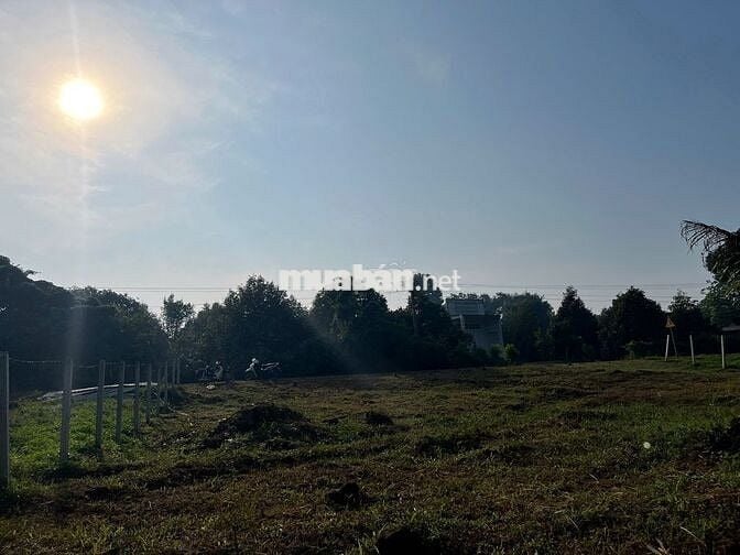 Bán đất vườn sẵn thổ cư 258m2, trong đó có hơn 100m2 thổ cư tại Cẩm Mỹ