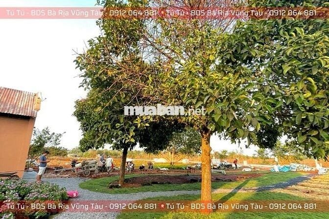 Bán Đất Thổ Cư Bà Rịa Vũng Tàu 100m2 - Đã Có Sổ - Hẻm Xe Hơi