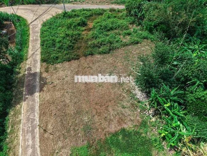 Bán đất vườn sẵn thổ cư 258m2, trong đó có hơn 100m2 thổ cư tại Cẩm Mỹ