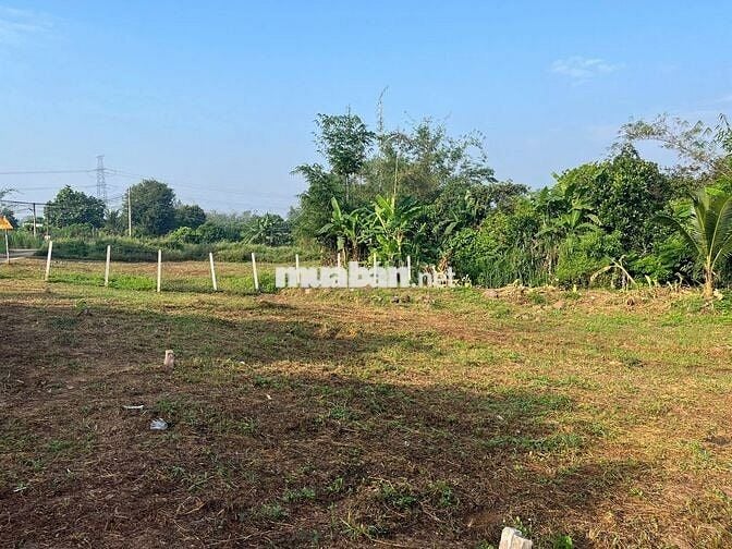 Bán đất vườn sẵn thổ cư 258m2, trong đó có hơn 100m2 thổ cư tại Cẩm Mỹ