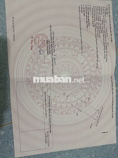 CẦN BÁN 500 m2 ( 10x50), CLN, PHÚ THẠNH, TÂN PHÚ ĐÔNG