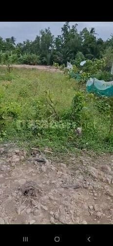 Đất bán 1.750m giá 800tr trọn thửa . Lộ xe 4 chỗ tới đất.có Điên nước 