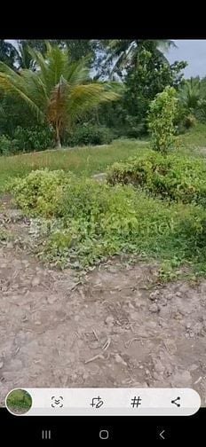 Đất bán 1.750m giá 800tr trọn thửa . Lộ xe 4 chỗ tới đất.có Điên nước 