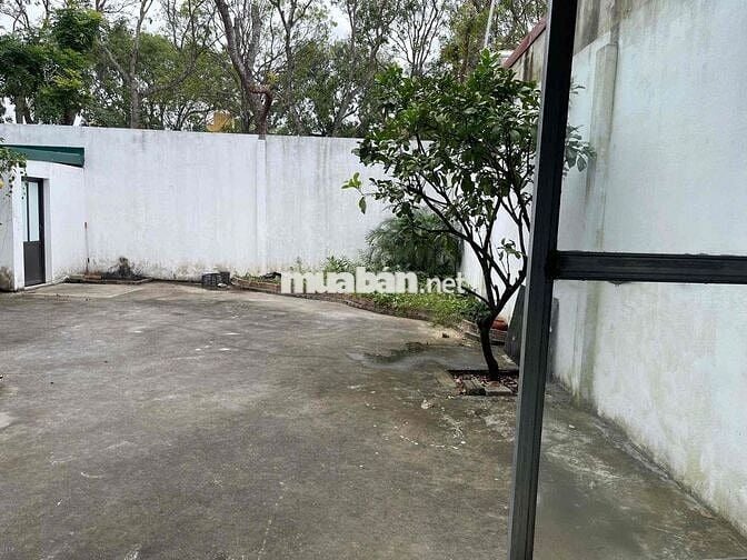 🔥 CHO THUÊ NHÀ GIÁ RẺ – ĐƯỜNG NGUYỄN DOÃN CHẤP (TL 4A), PHƯỜNG HẠC THÀ