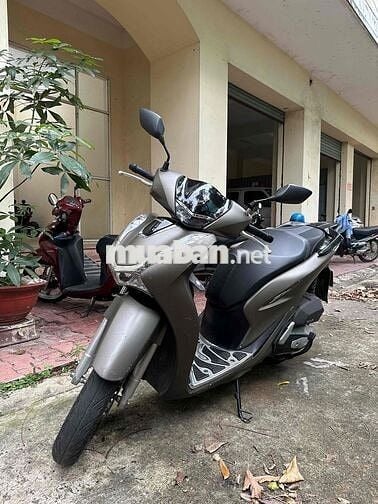 Sh 125 biển thành phố