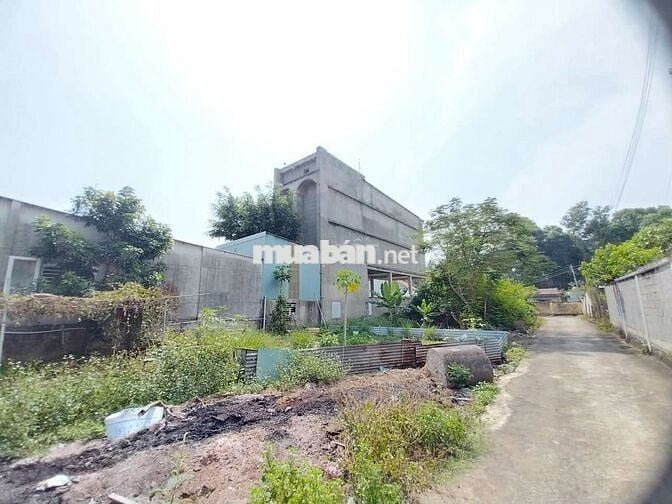 Nhà mặt tiền + nhà yến 3,5 lầu giá thỏa thuận