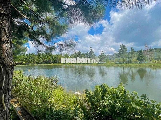 Chính chủ bán đất P2 BảoLộc view hồ tặng nhà 499triệu công chứng ngay