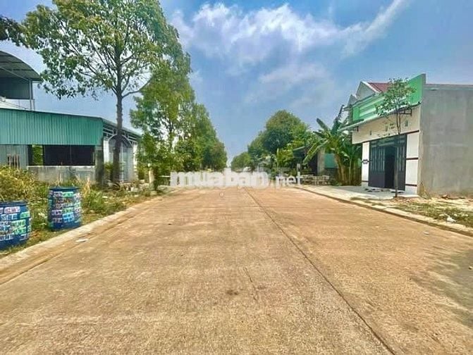 Bán Nhanh Lô Đất 300m² Bến Cát – Giá 780 Triệu – SHR