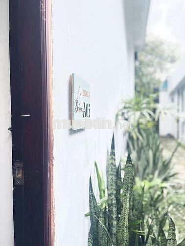 Cho thuê phòng trống làm văn phòng ngay Ngã Tư Thủ Đức