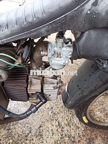 Dream Lùn UNION HQ Đen Êm 100% BSTP GTHL.