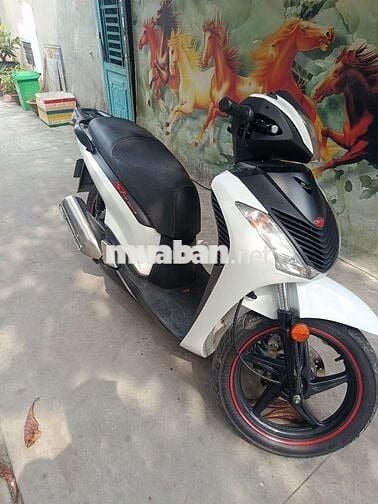 Honda SH 2008 giao lưu mọi thể loại.