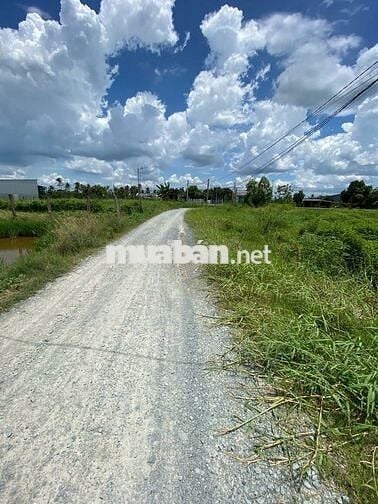 đất Thổ cư cho anh em cần phân lô bán nền