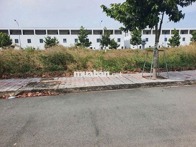 ĐẤT SỔ SẴN, NGAY TRUNG TÂM BÀU BÀNG