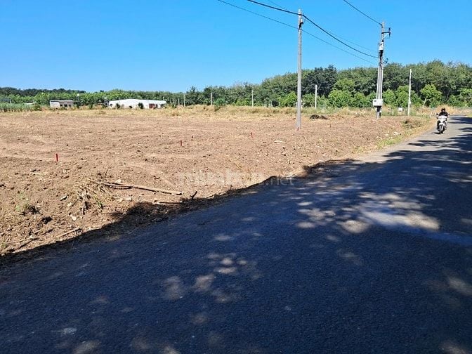 Lô đất ngộp 1550m2, thổ cư, ngay chợ Minh Lập, chỉ 1,1 tỉ