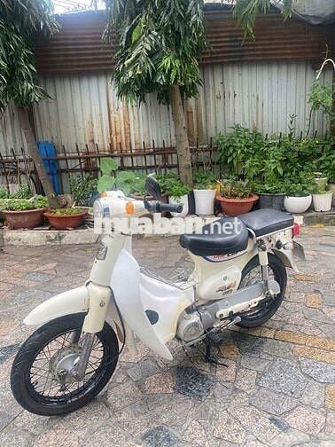 Xe cúp 50cc Hàn Quốc