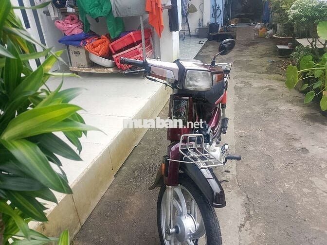 Daelim Citi 100 1997 màu Nâu